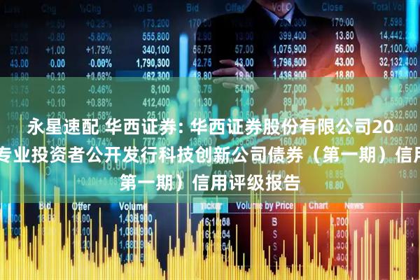 永星速配 华西证券: 华西证券股份有限公司2025年面向专业投资者公开发行科技创新公司债券(第一期)信用评级报告