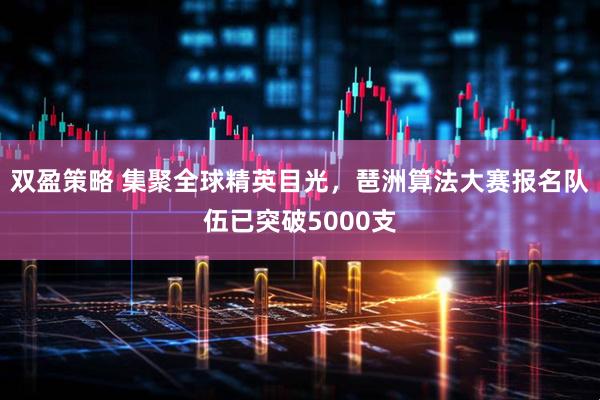 双盈策略 集聚全球精英目光，琶洲算法大赛报名队伍已突破5000支