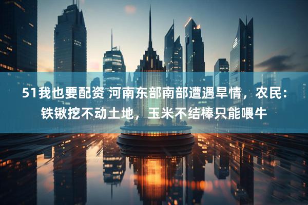 51我也要配资 河南东部南部遭遇旱情，农民：铁锹挖不动土地，玉米不结棒只能喂牛