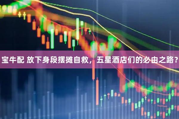 宝牛配 放下身段摆摊自救，五星酒店们的必由之路？