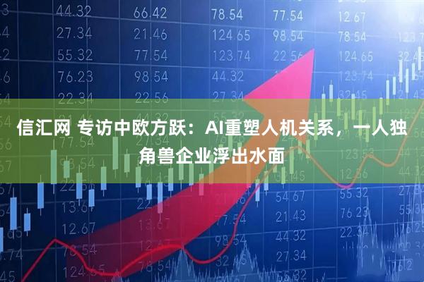 信汇网 专访中欧方跃：AI重塑人机关系，一人独角兽企业浮出水面