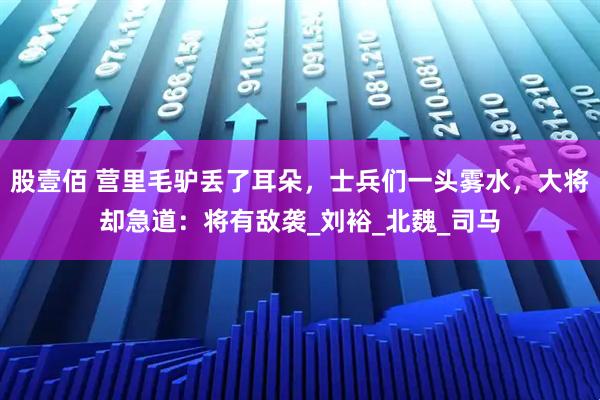 股壹佰 营里毛驴丢了耳朵，士兵们一头雾水，大将却急道：将有敌袭_刘裕_北魏_司马