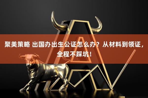 聚美策略 出国办出生公证怎么办？从材料到领证，全程不踩坑！